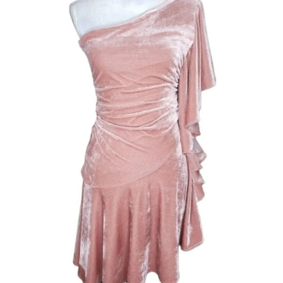 Gianni Bini Velvet Glitzy Daze One Shoulder Ruffle Dress Blush Pink Small - Picture 3 of 9